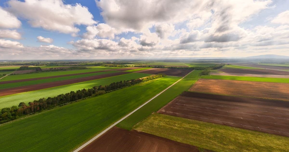 Aerial view of open green and brown land plots